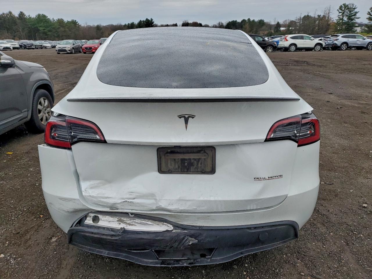 2024 Tesla Model Y VIN: 7SAYGDEF2RA325539 Lot: 92583525