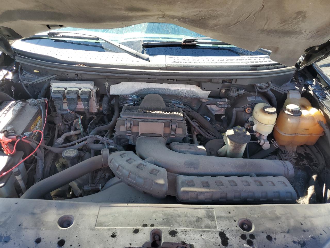 2007 Ford F150 Supercrew VIN: 1FTPW14555KE57147 Lot: 91389415