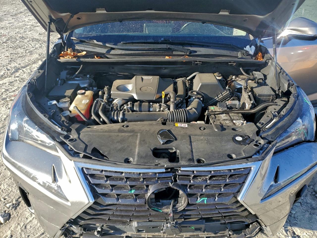 2020 Lexus Nx 300 VIN: JTJDARBZ8L2165685 Lot: 91457375