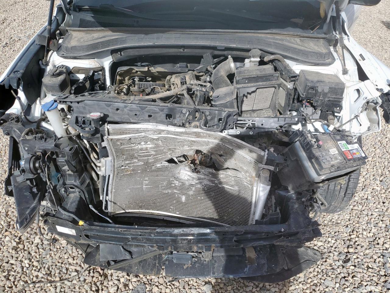 2020 Hyundai Santa Fe Limited VIN: 5NMS53AD0LH225116 Lot: 93098465