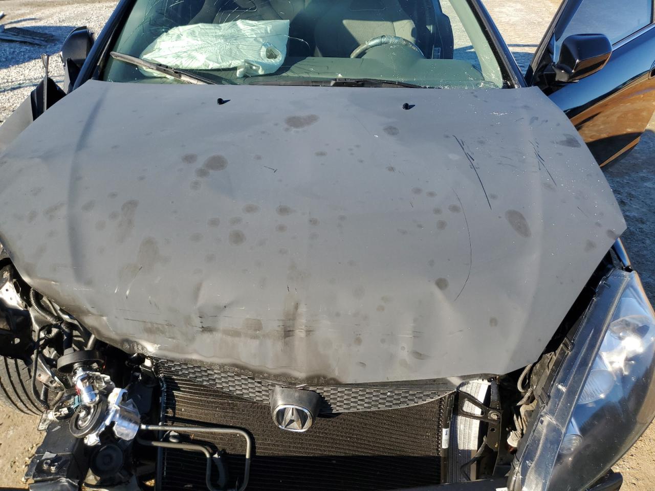 2005 Acura Rsx VIN: JH4DC54815S013856 Lot: 91006755