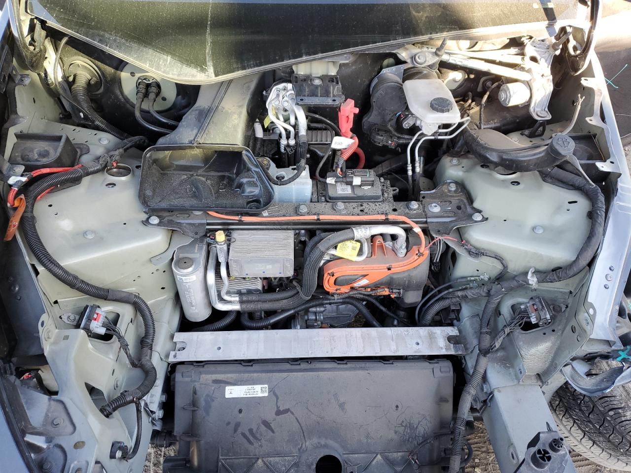 2024 Tesla Model Y VIN: 7SAYGDEE7RF166107 Lot: 91056195