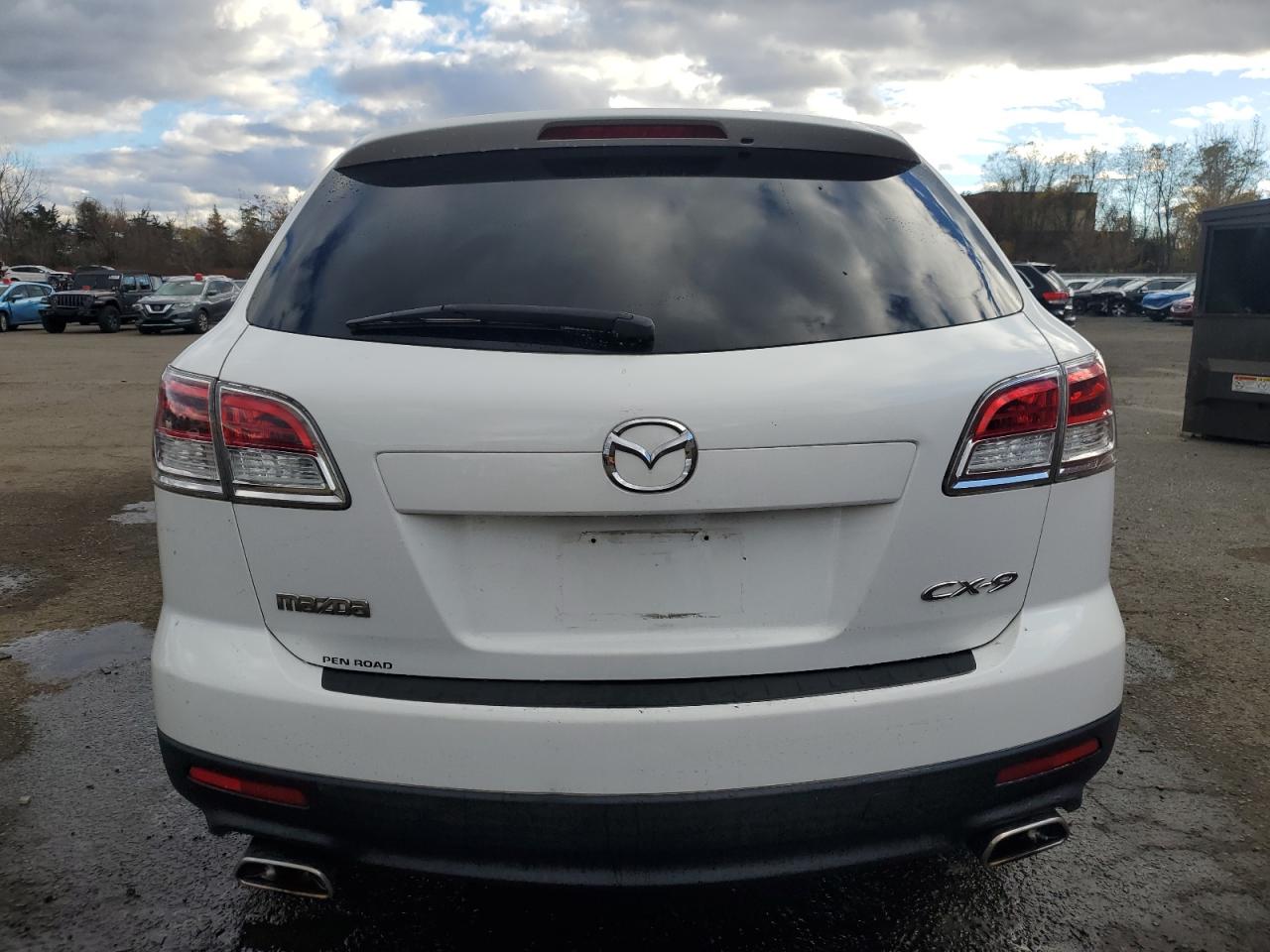 2007 Mazda Cx-9 VIN: JM3TB28C770118906 Lot: 91774985