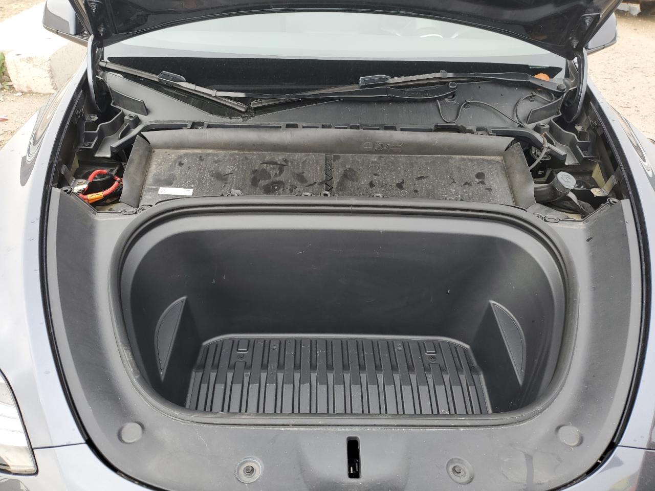 2023 Tesla Model Y VIN: 7SAYGDEEXPF747582 Lot: 93511625