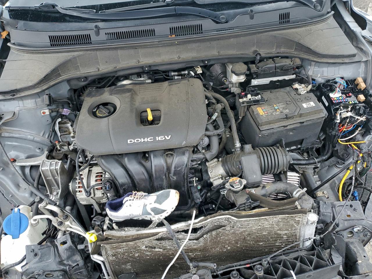 2021 Hyundai Kona Se VIN: KM8K12AA5MU703466 Lot: 93899655