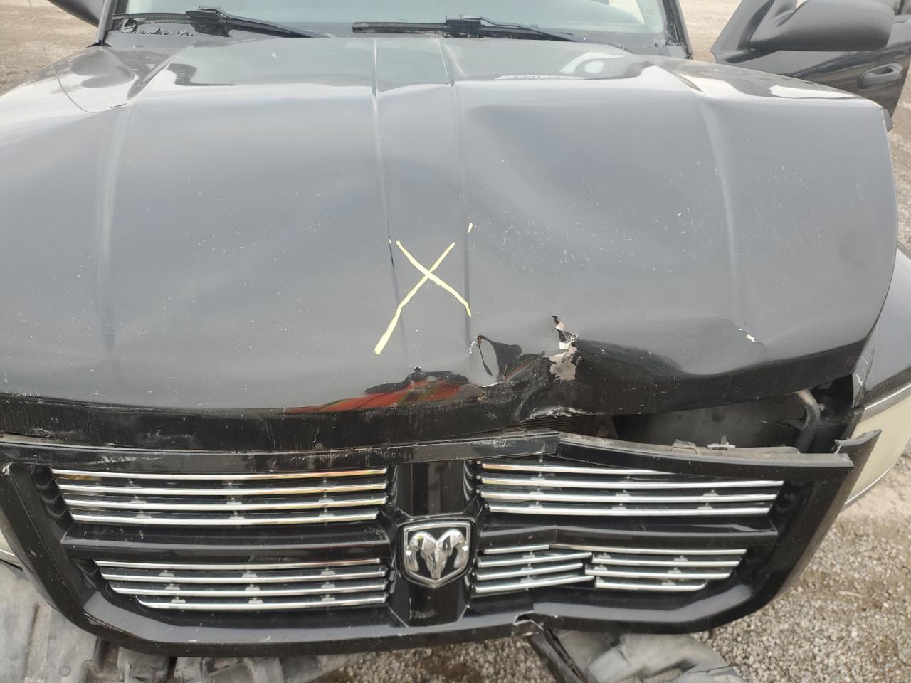 2008 Dodge Dakota Sxt VIN: 1D7HW38K68S544467 Lot: 93621395