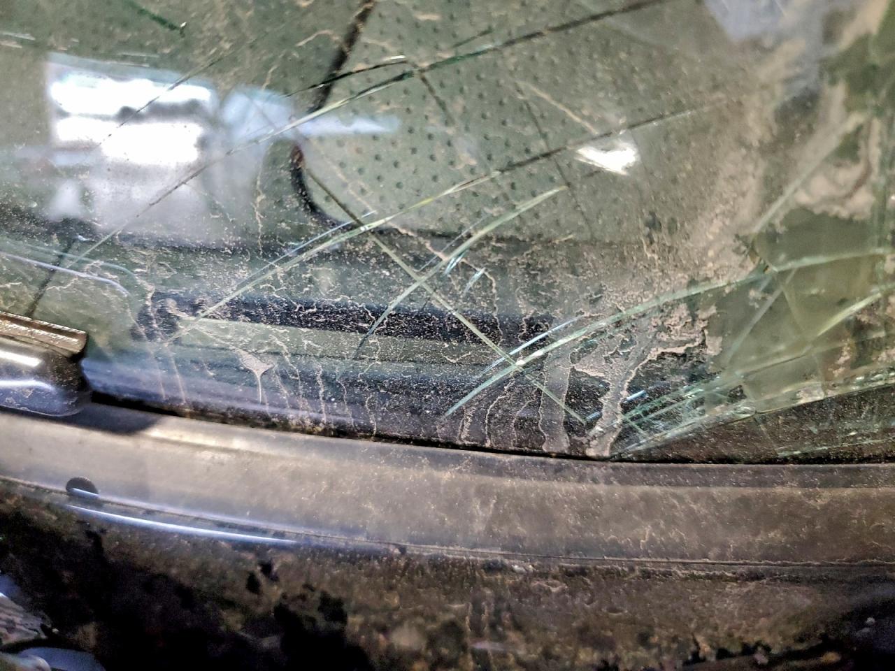 2012 Toyota Fj Cruiser VIN: JTEBU4BF6CK143349 Lot: 93767755