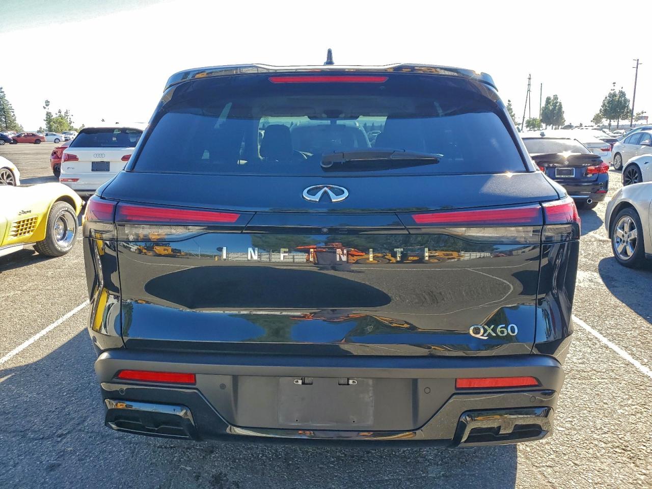 2023 Infiniti Qx60 Pure VIN: 5N1DL1ER3PC373978 Lot: 93752945