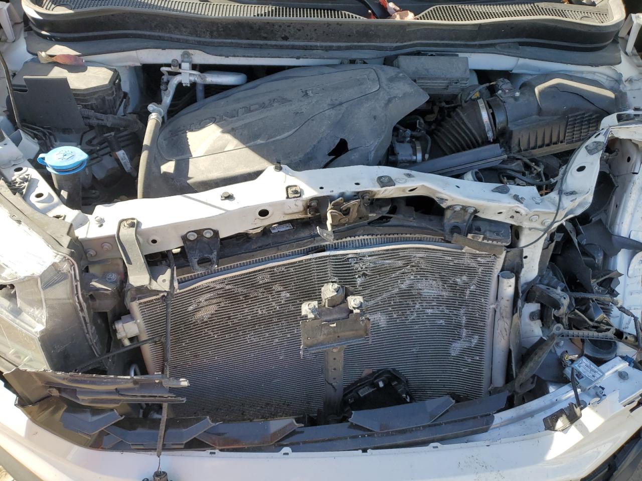 2023 Honda Passport Elite VIN: 5FNYF8H05PB030191 Lot: 92102215