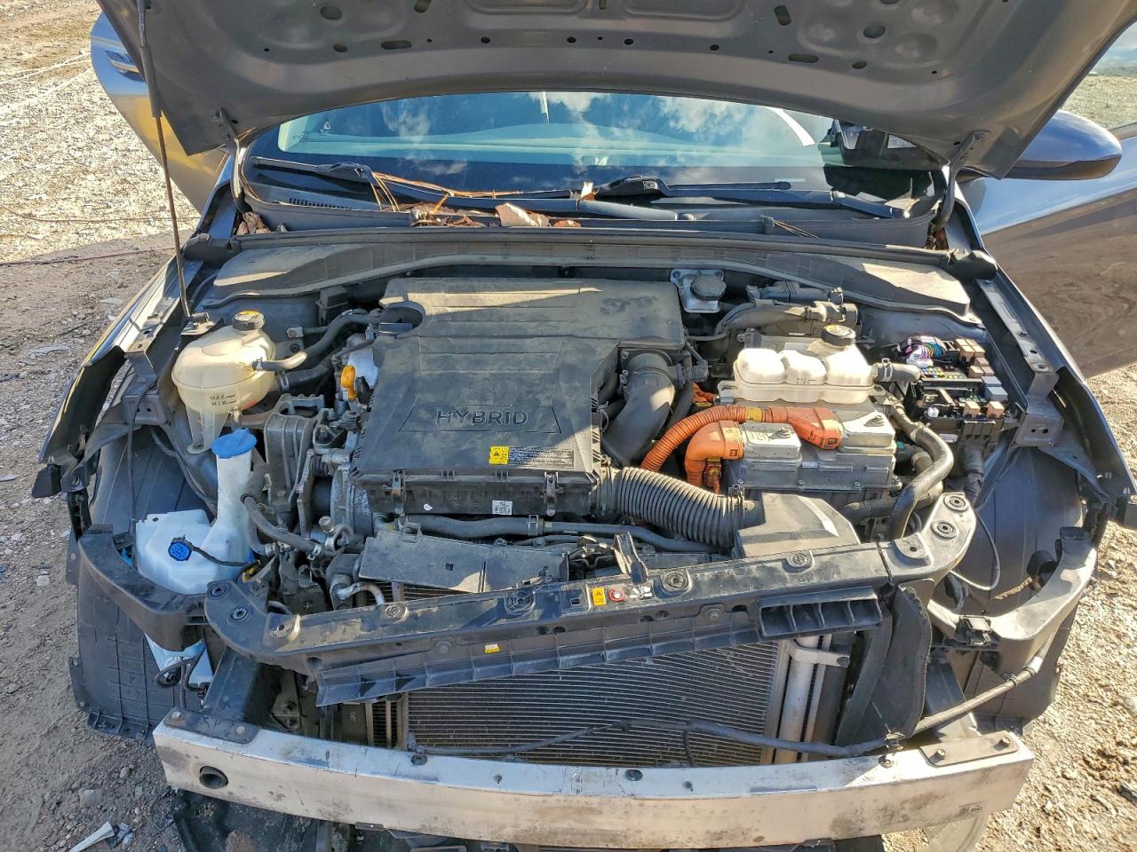 2019 Hyundai Ioniq Blue VIN: KMHC65LC4KU166690 Lot: 94296375