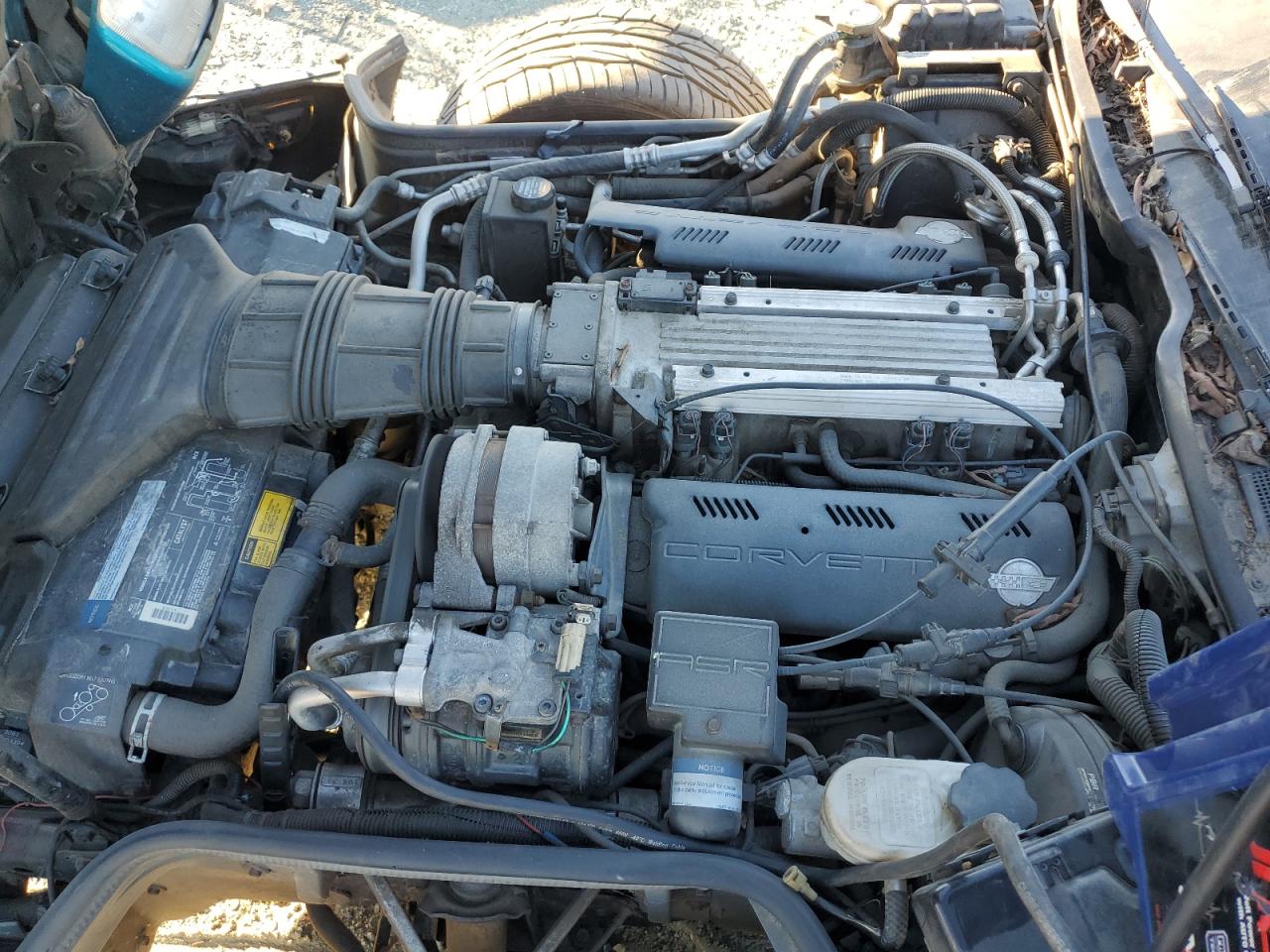 1993 Chevrolet Corvette VIN: 1G1YY33P6P5113799 Lot: 92860255