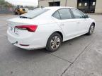 2024 SKODA OCTAVIA SE TSI  for sale at Copart CHESTER