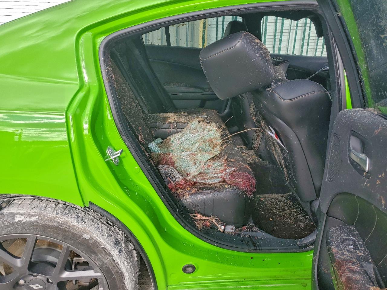 2017 Dodge Charger R/T VIN: 2C3CDXCT5HH559474 Lot: 94476385