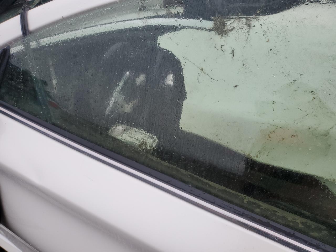 2019 Infiniti Q60 Red Sport 400 VIN: JN1FV7EK8KM360565 Lot: 93764535