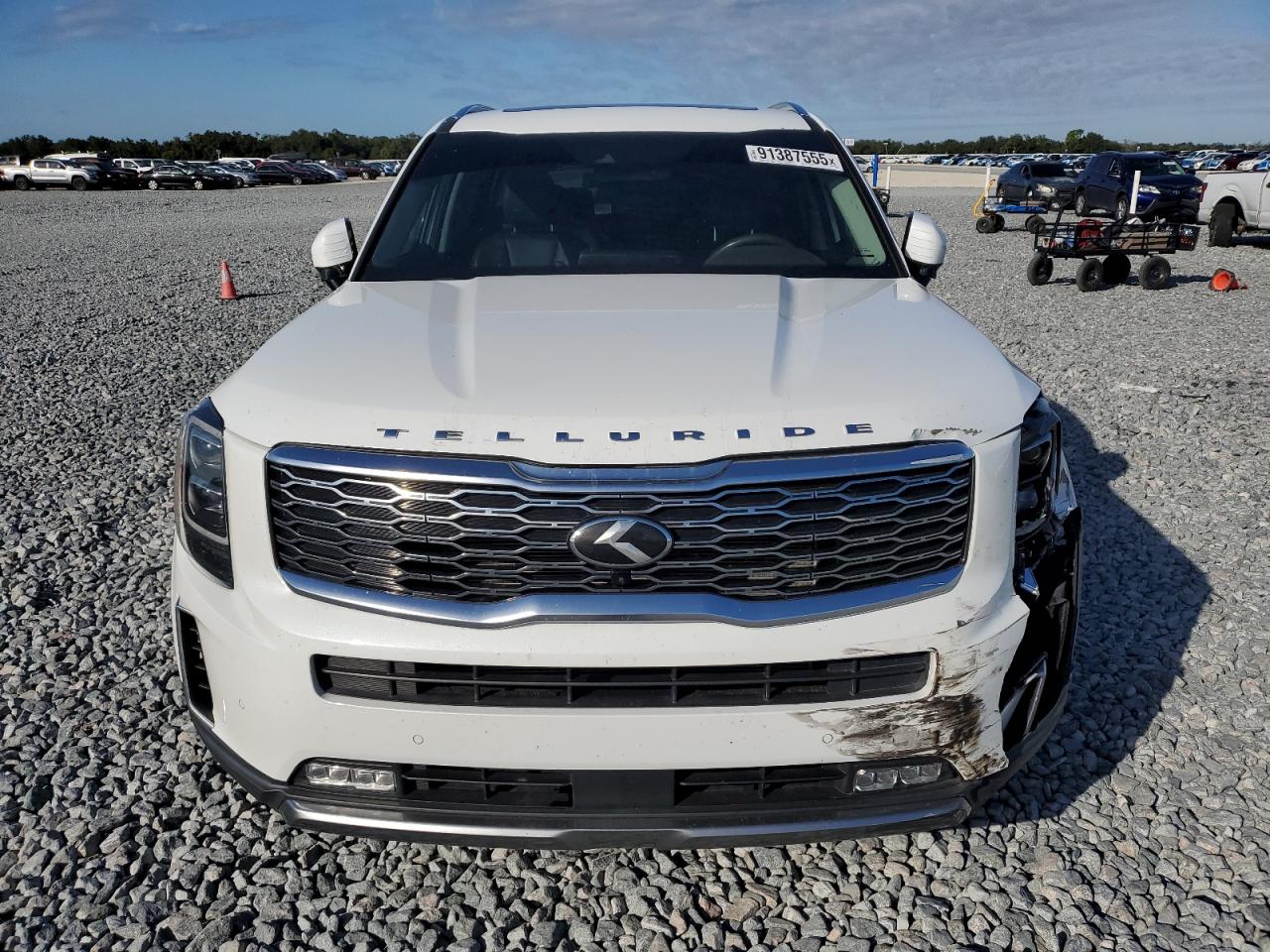 2020 Kia Telluride Sx VIN: 5XYP54HC9LG059469 Lot: 91387555