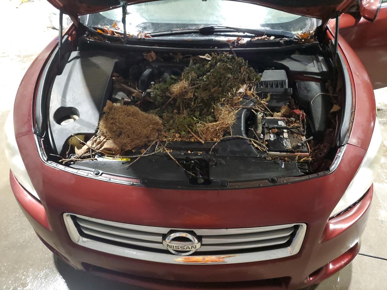 2012 Nissan Maxima S VIN: 1N4AA5AP1CC825824 Lot: 93672405