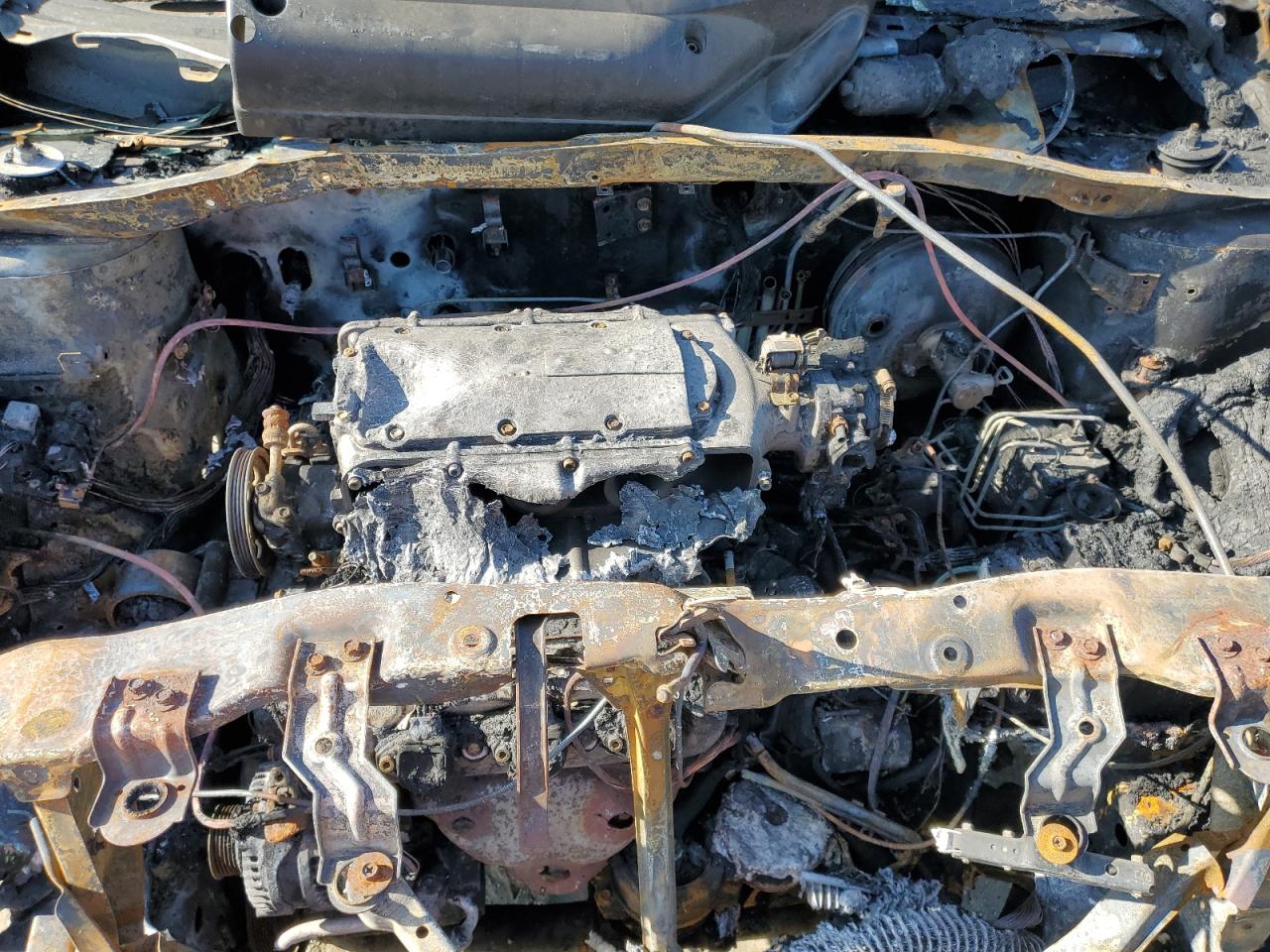 2004 Honda Pilot Exl VIN: 2HKYF18594H514803 Lot: 91596345