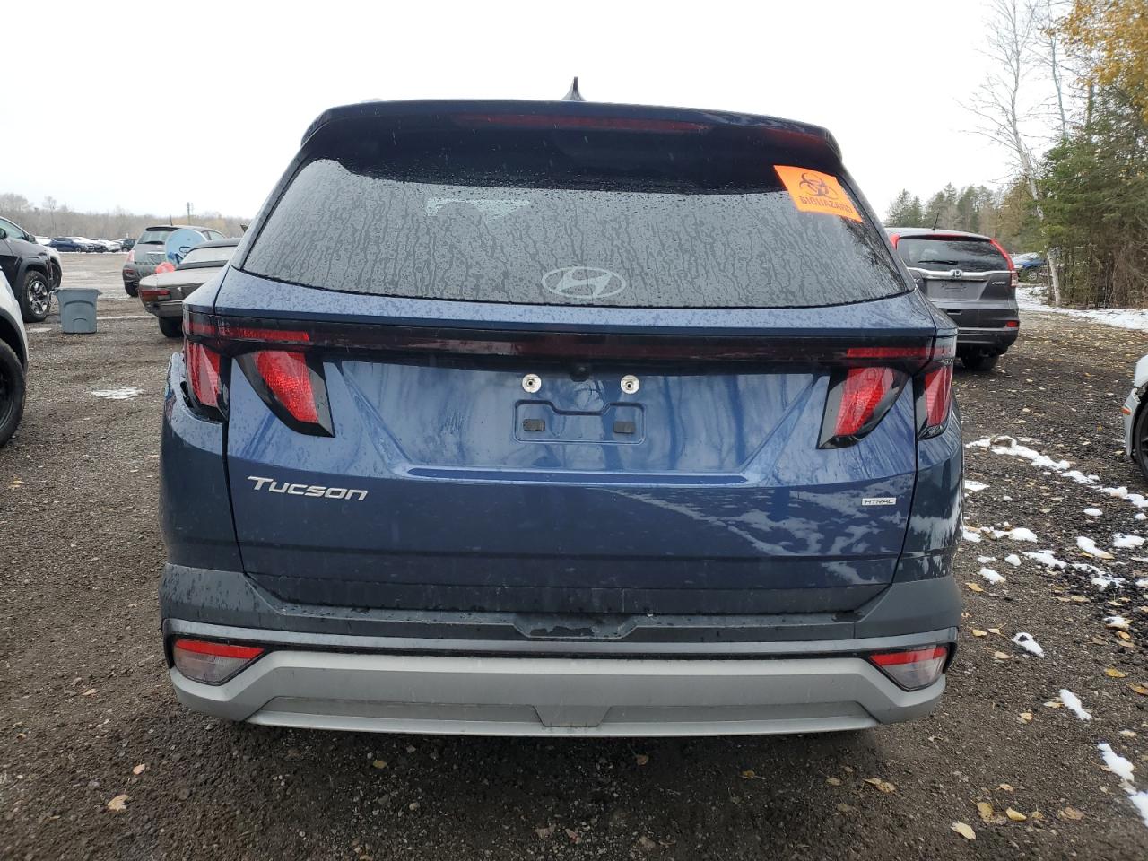 2025 Hyundai Tucson Sel VIN: 5NMJBCDE6SH497905 Lot: 92285985