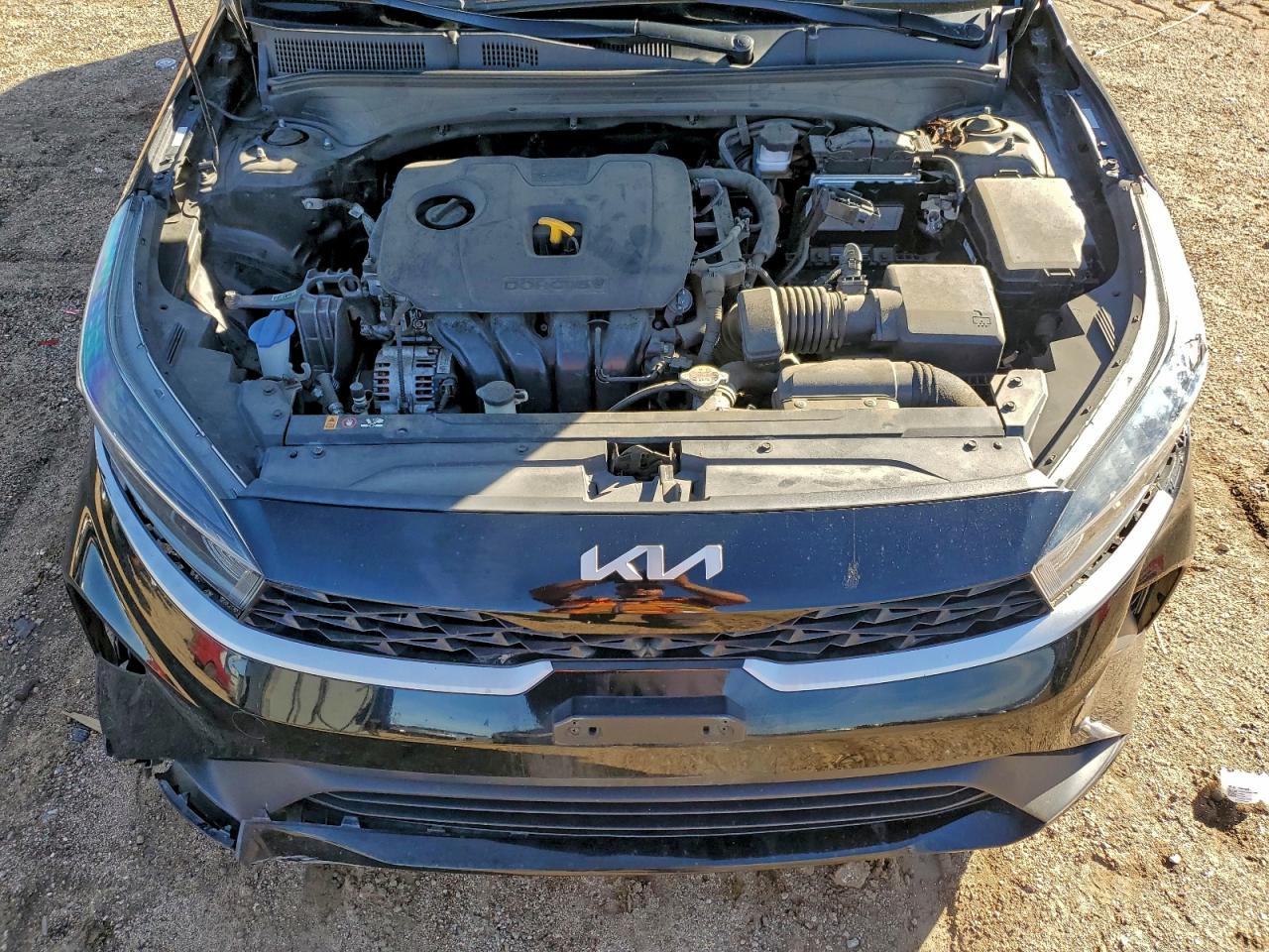 2023 Kia Forte Lx VIN: 3KPF24AD1PE510095 Lot: 93919375