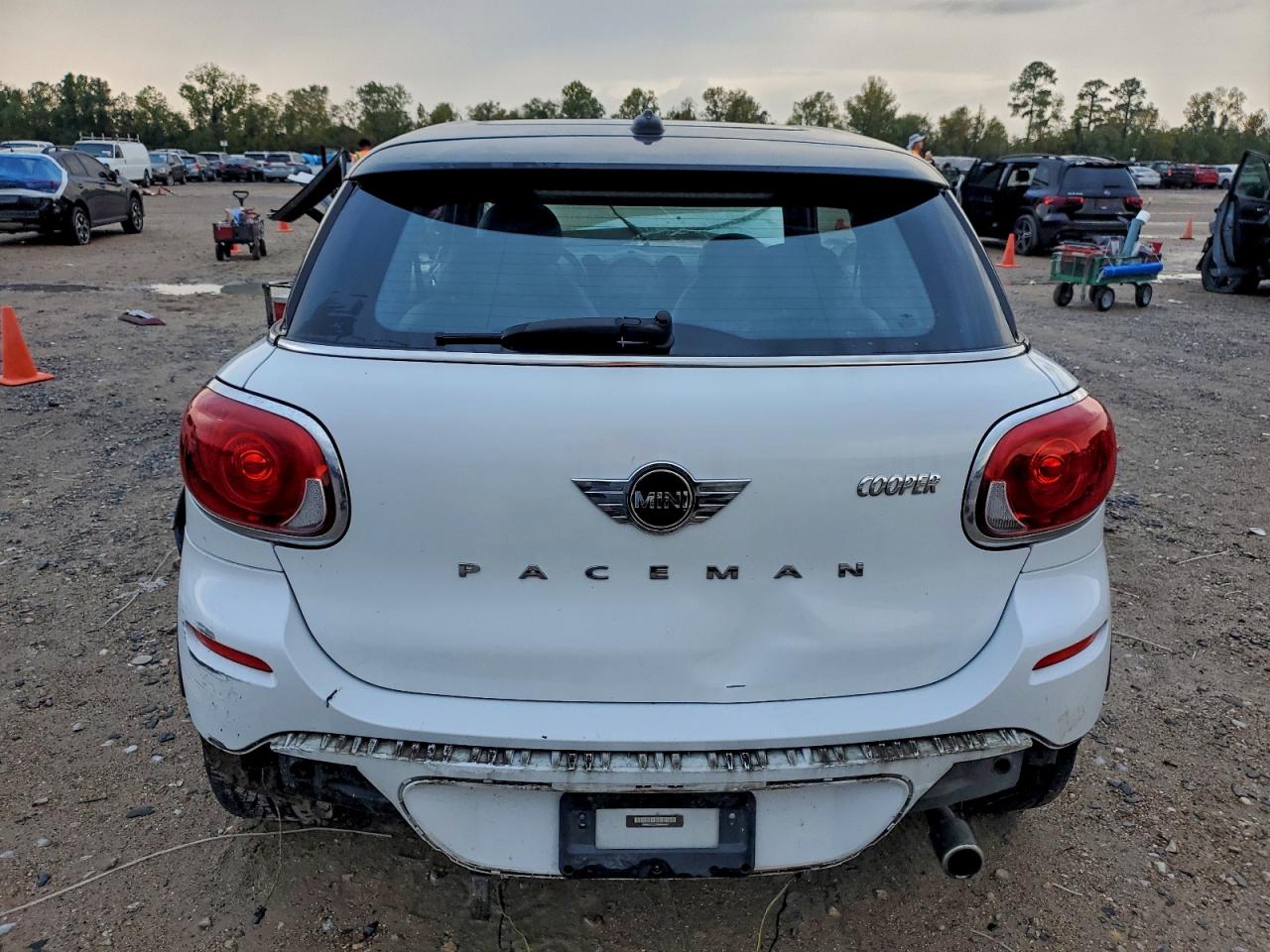 2013 Mini Cooper Paceman VIN: WMWSS1C57DWN46407 Lot: 93752745
