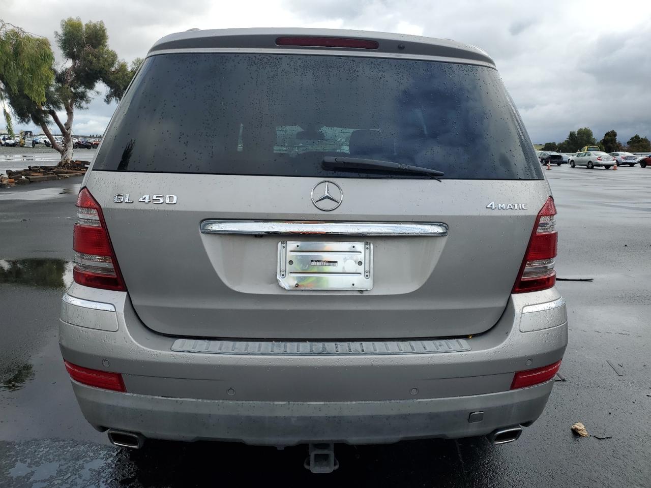 2009 Mercedes-Benz Gl 450 4Matic VIN: 4JGBF71E79A456607 Lot: 93821585