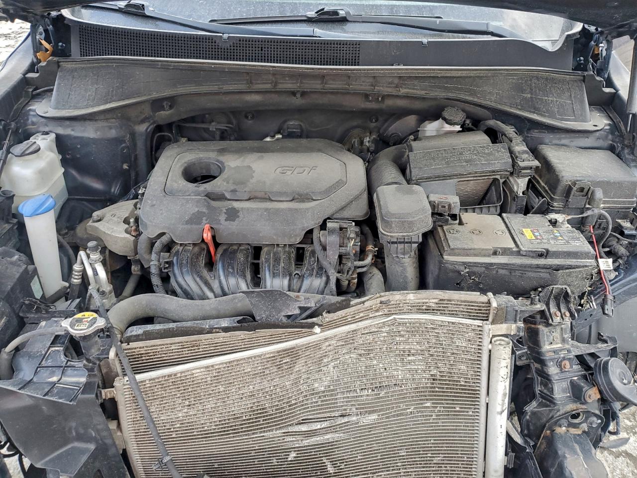 2019 Kia Sorento L VIN: 5XYPGDA31KG520652 Lot: 94031245