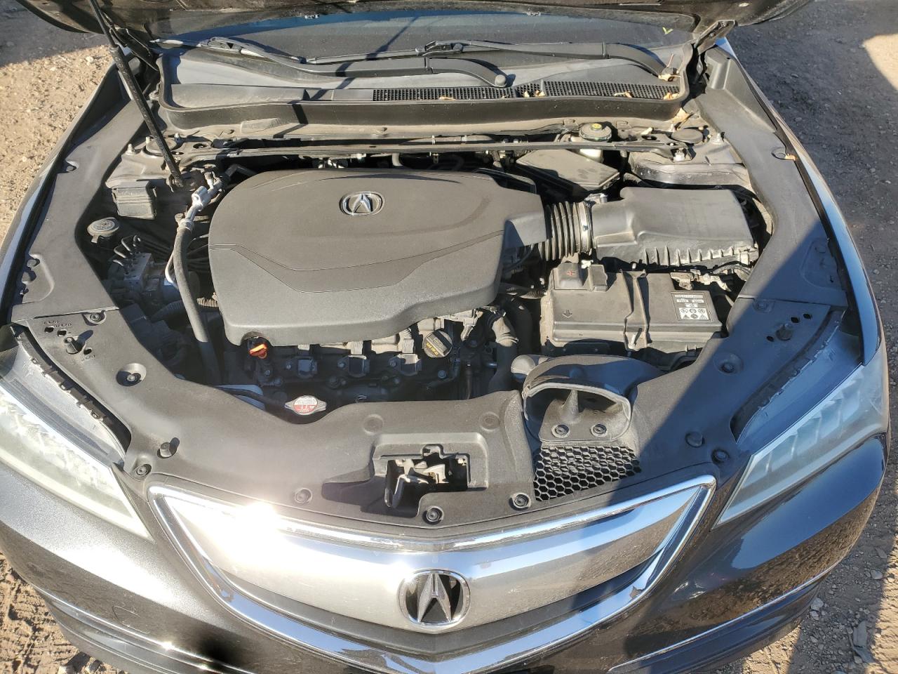 2015 Acura Tlx VIN: 19UUB2F39FA003086 Lot: 92620065