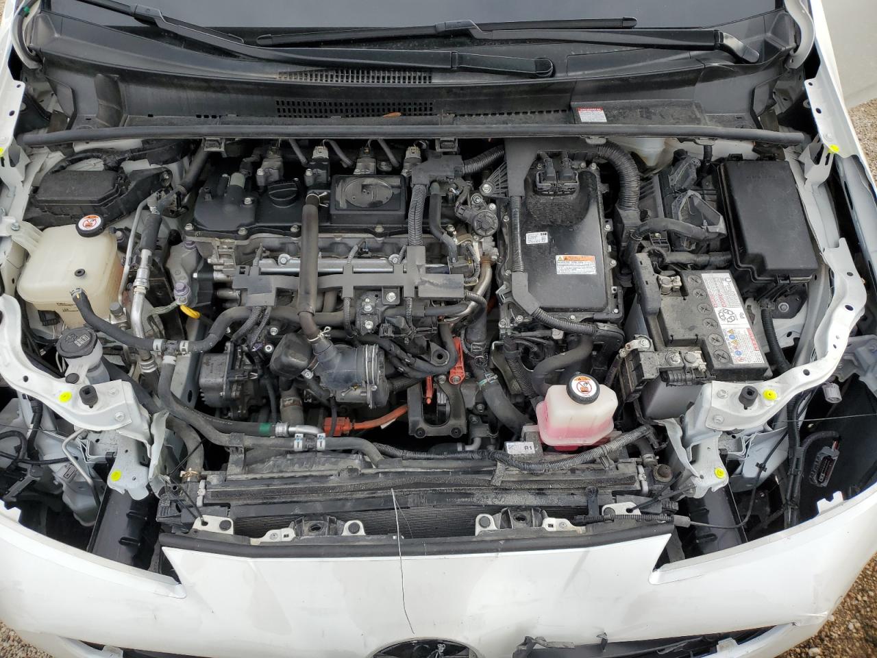 2019 Toyota Prius VIN: JTDKARFU5K3095189 Lot: 91830995