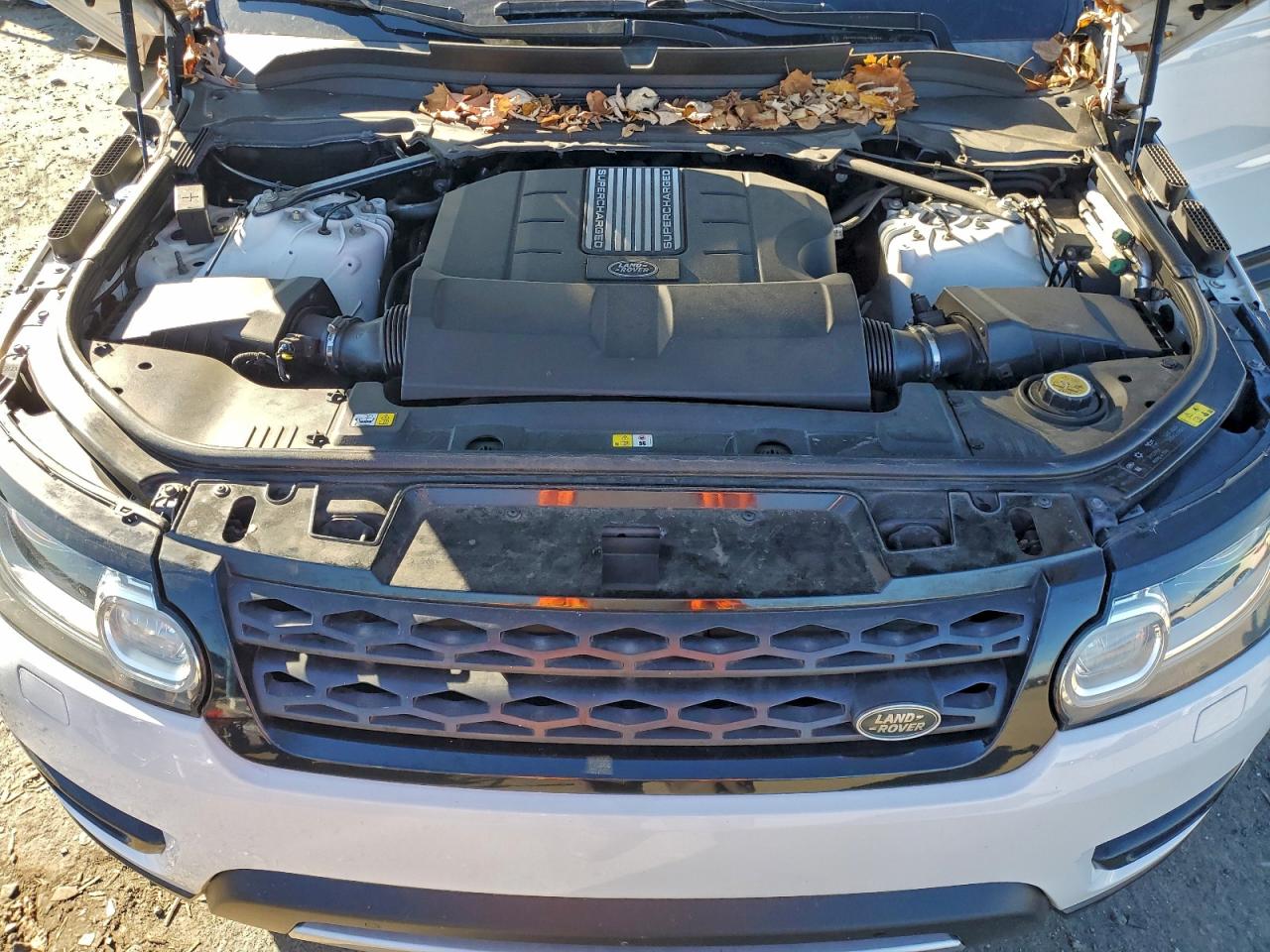 2016 Land Rover Range Rover Sport Hse VIN: SALWR2VF1GA638800 Lot: 94274665