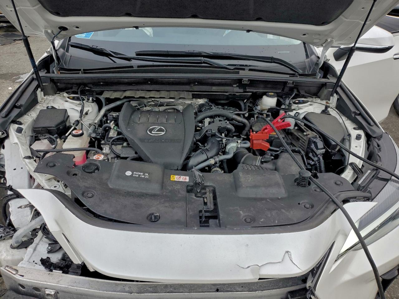 2024 Lexus Nx 350 Base VIN: JTJAGCEZ0R5007990 Lot: 94251175