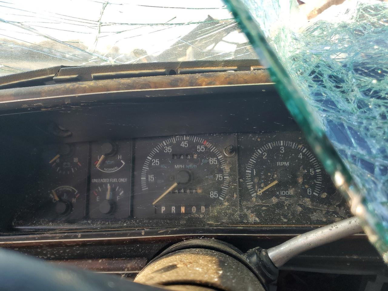 1989 Ford Bronco U100 VIN: 1FMEU15N3KLA75132 Lot: 93007675