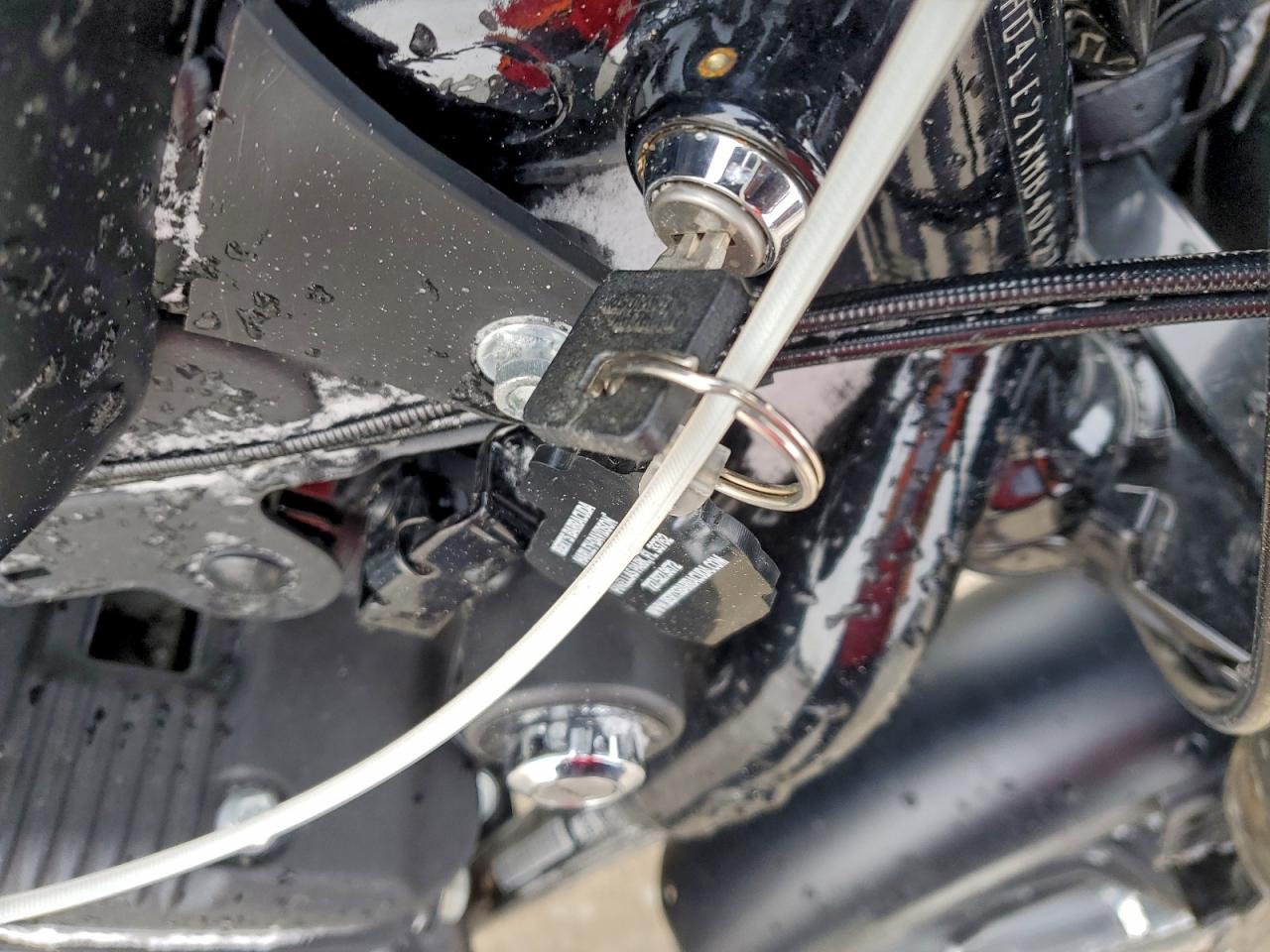 2021 Harley-Davidson Xl883 N VIN: 1HD4LE21XMB404279 Lot: 94263485