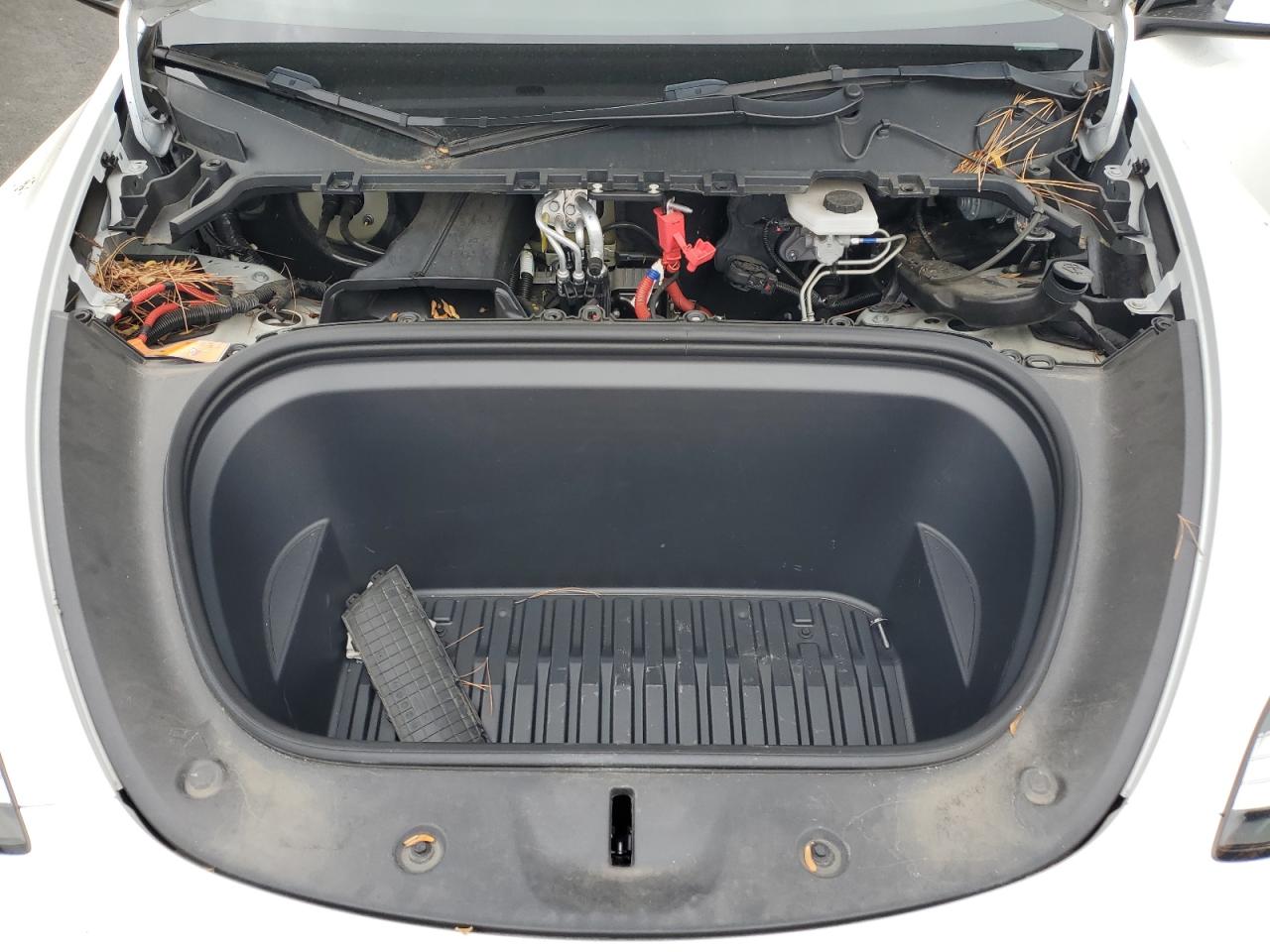 2023 Tesla Model Y VIN: 7SAYGDEE8PF590621 Lot: 92131195