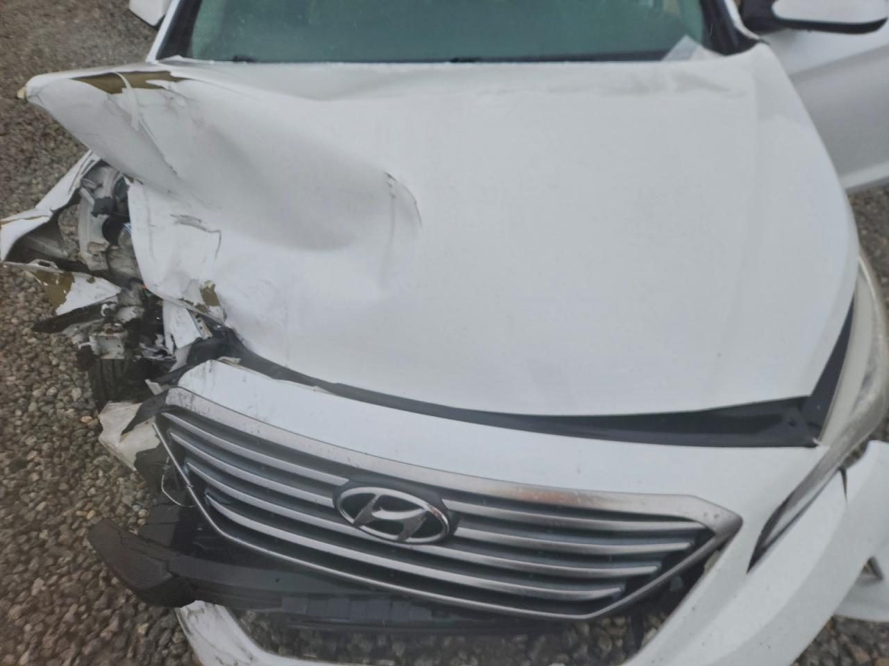 2017 Hyundai Sonata Se VIN: 5NPE24AF2HH532052 Lot: 94410715