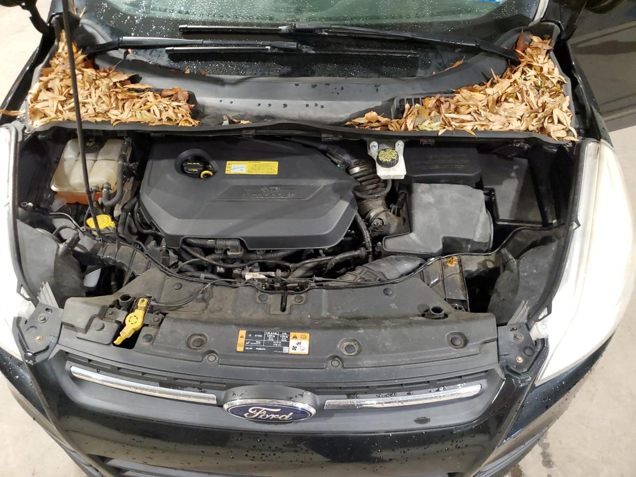 2014 Ford Escape Se VIN: 1FMCU0GX9EUB23716 Lot: 93231185