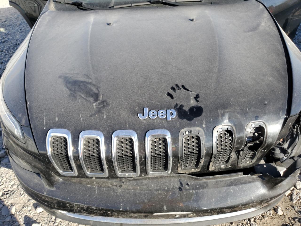 2016 Jeep Cherokee Limited VIN: 1C4PJMDS0GW373206 Lot: 92583925