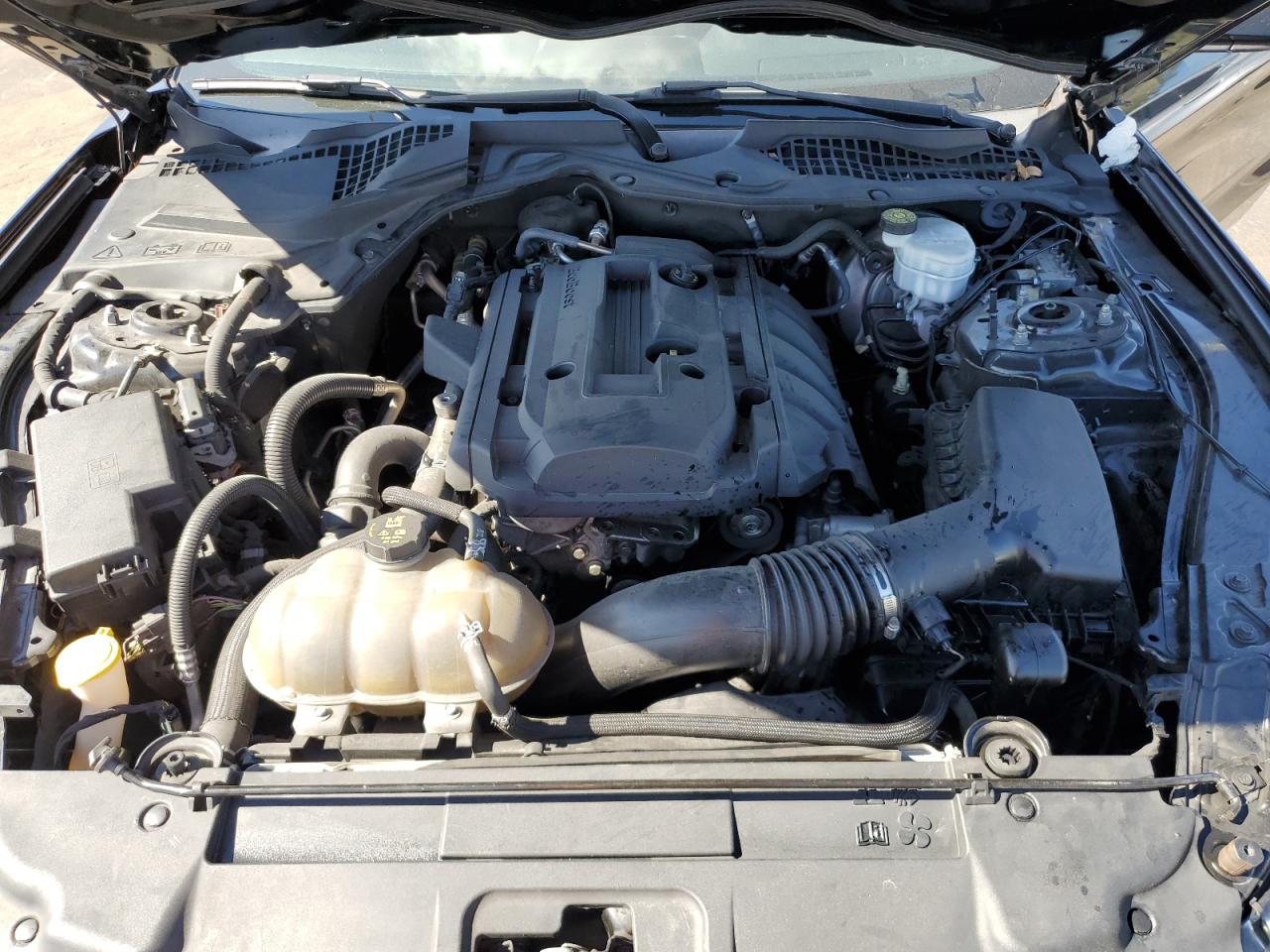 2019 Ford Mustang VIN: 1FA6P8TH9K5114712 Lot: 93798045