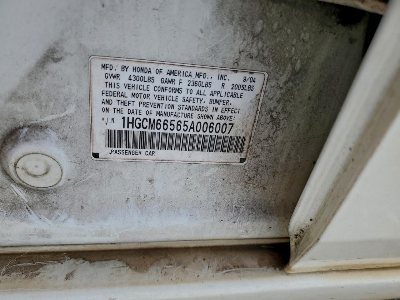 2005 Honda Accord Ex VIN: 1HGCM66565A006007 Lot: 93075095