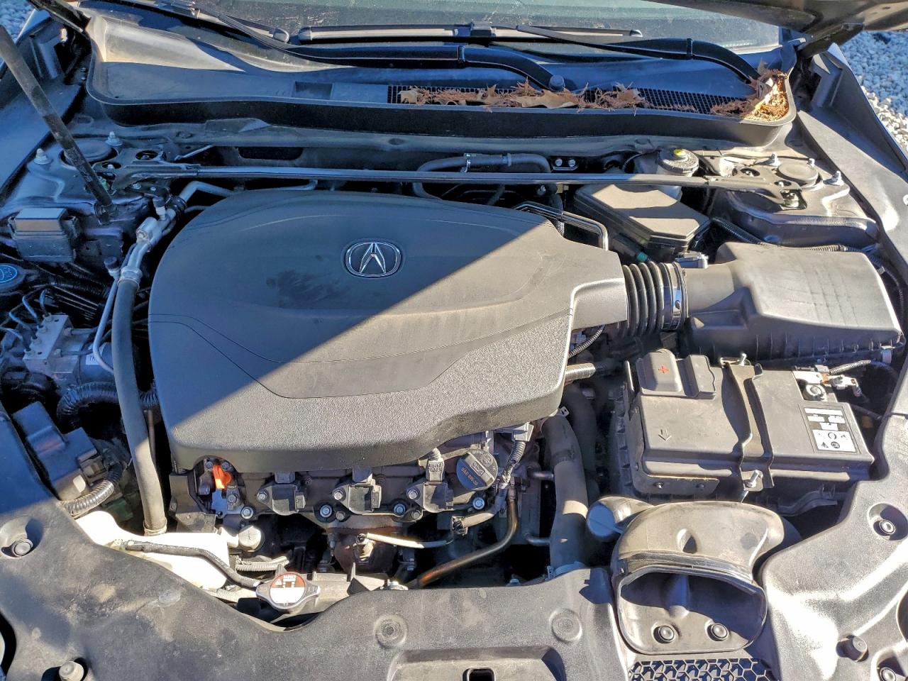 2015 Acura Tlx VIN: 19UUB2F33FA016299 Lot: 94452955