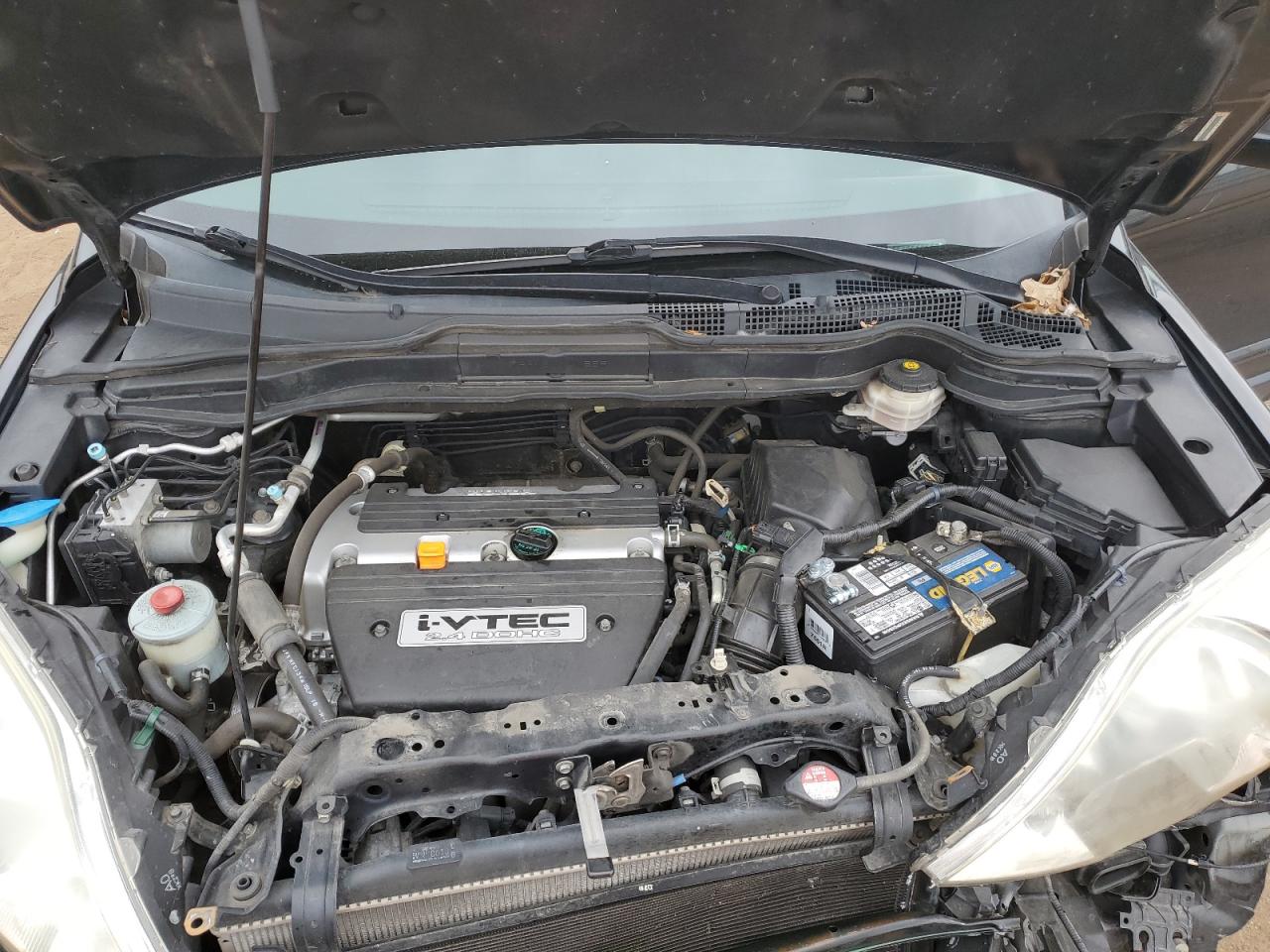 2009 Honda Cr-V Exl VIN: JHLRE48709C004629 Lot: 93966365