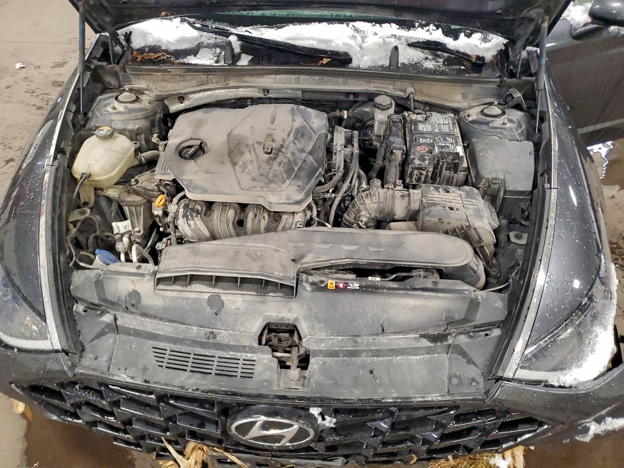 2020 Hyundai Sonata Sel VIN: 5NPEF4JA9LH057081 Lot: 94554645
