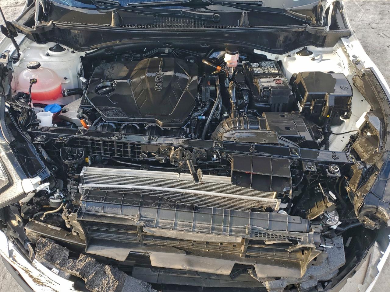 2023 Kia Sportage Ex VIN: 5XYK33AF6PG138408 Lot: 94238205