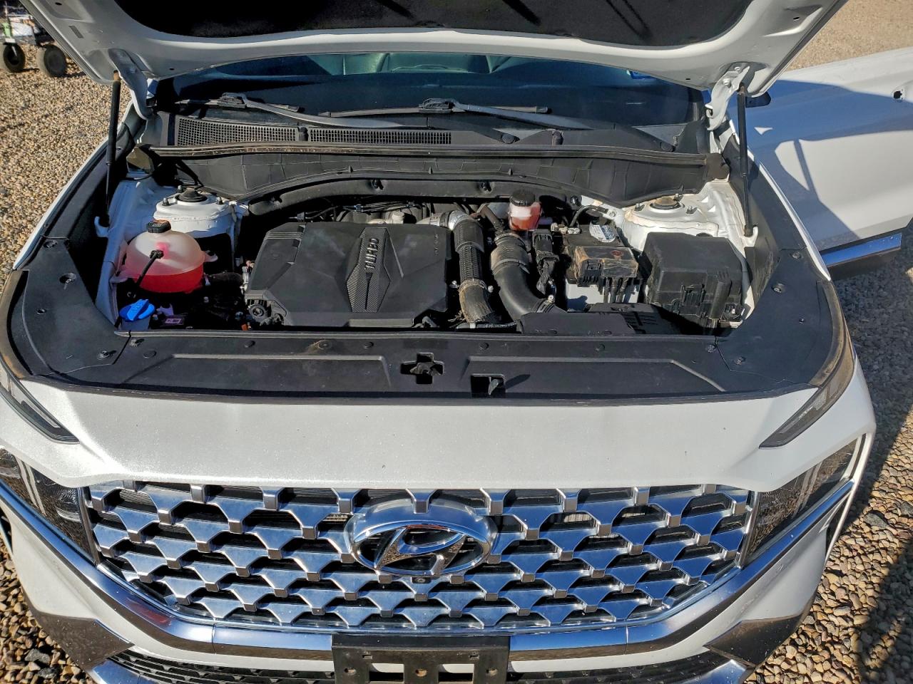 2022 Hyundai Santa Fe Limited VIN: 5NMS44AL4NH397572 Lot: 92636635