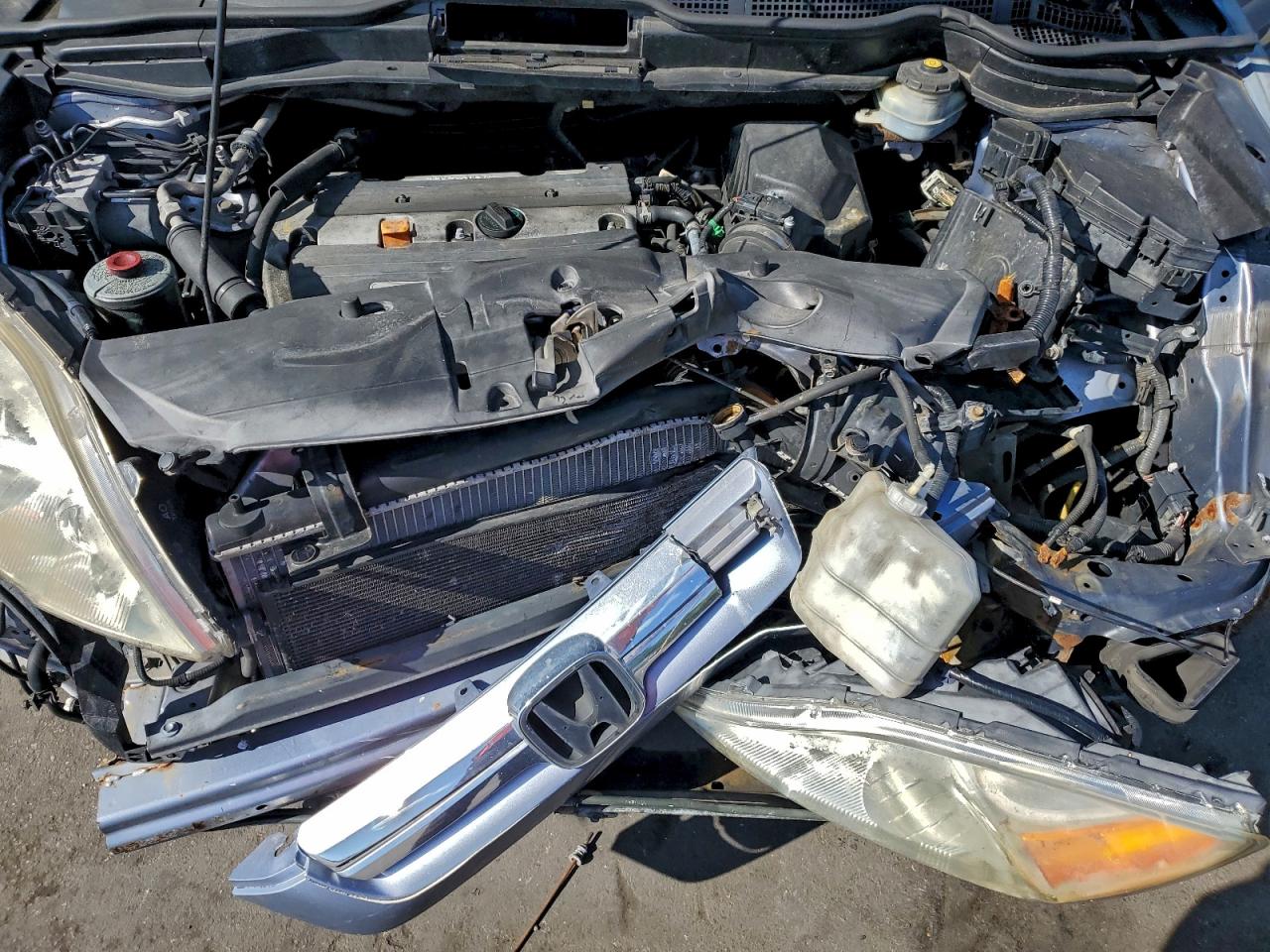 2007 Honda Cr-V Exl VIN: JHLRE38747C026589 Lot: 94062625