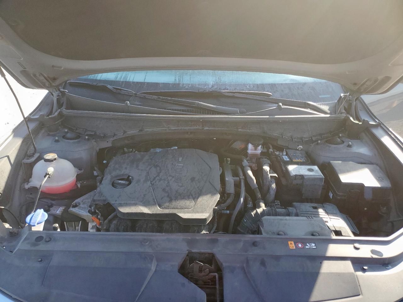 2023 Hyundai Santa Cruz Sel VIN: 5NTJBDAE3PH075192 Lot: 92934905