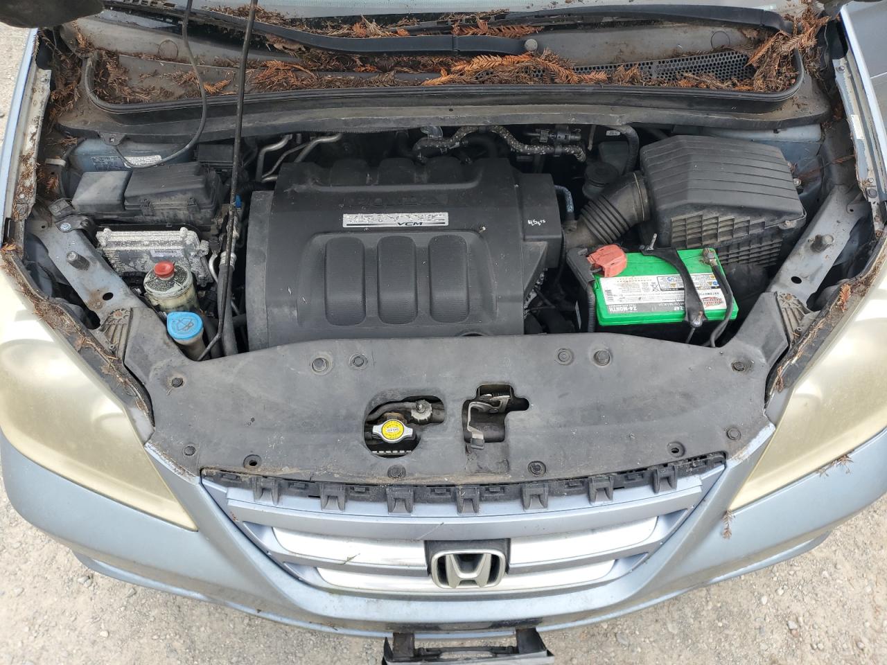 2006 Honda Odyssey Exl VIN: 5FNRL38636B127716 Lot: 91701655