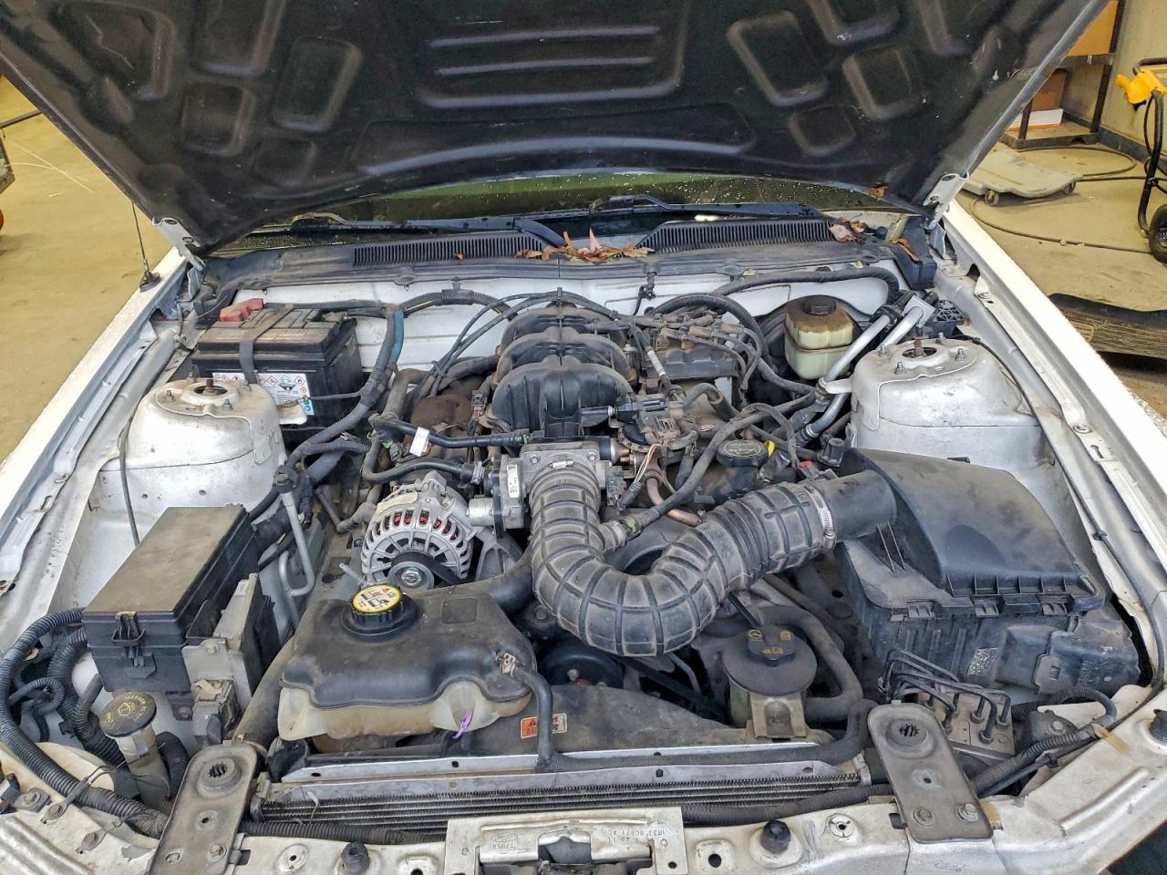 2007 Ford Mustang VIN: 1ZVFT80NX75307097 Lot: 93757315