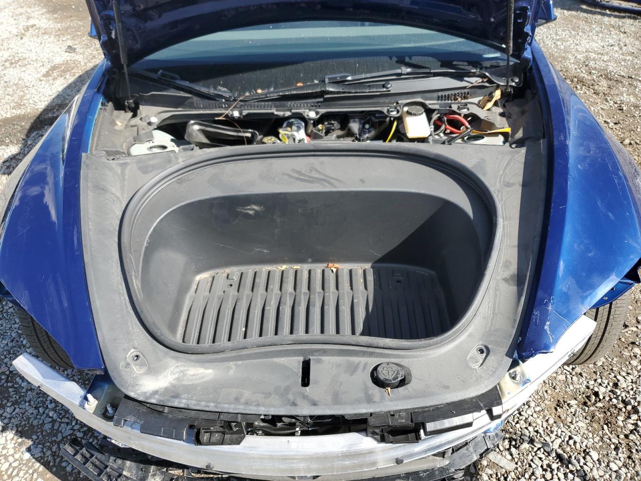 2025 Tesla Model 3 VIN: 5YJ3E1EB5SF896444 Lot: 93604065