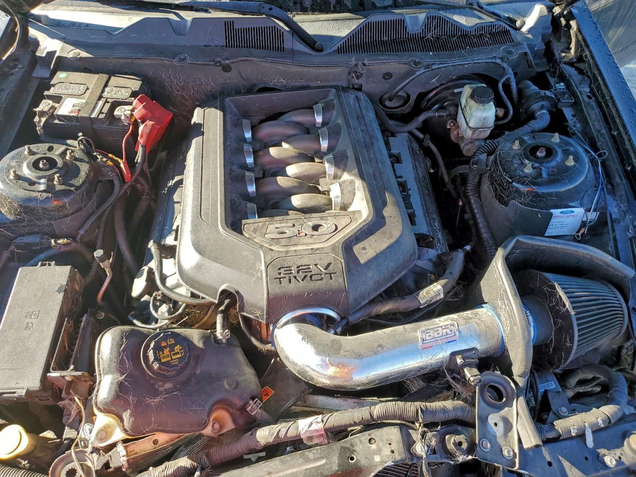 2014 Ford Mustang Gt VIN: 1ZVBP8CFXE5238979 Lot: 94125885