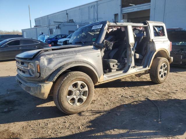 FORD BRONCO BIG 2024